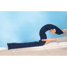 Water Snake, , large
