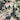 Packable Print Tote, Black Floral, swatch