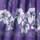 Violet Bold Floral