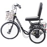 Large Seat Tricycle, , large