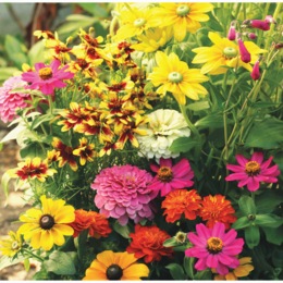 Easy Roll-Out Flower Mats, , large