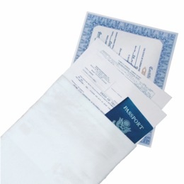 Fire-Resistant Document Bag, , large