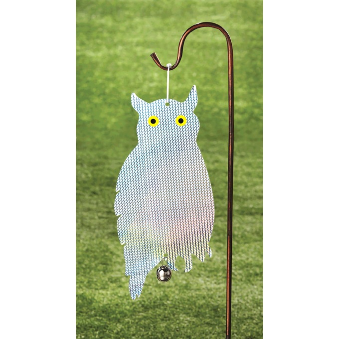 Reflecting Guard Owl, , large