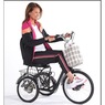 Large Seat Tricycle, , large