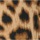 Animal Print
