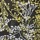 Wispy Floral Yellow