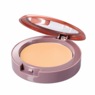 Mineral Concealer Skin Perfector, , large