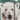 Sherpa Print Jacket, Polar Bear, swatch