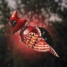 Hanging Bird Solar Lantern, , large