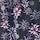 Black Purple