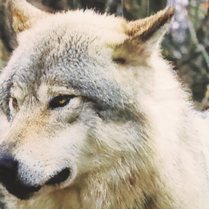 Scenic Photo Window Set , , large