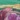 Garden Quilt Set, Hunter Green, swatch