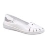 Preston Flat, , large