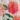 Bloom Sheer Window Panel, Orange, swatch