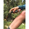 Grandpa Gus's Repellent Spray, , large