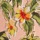 Pink Hawaiian Print