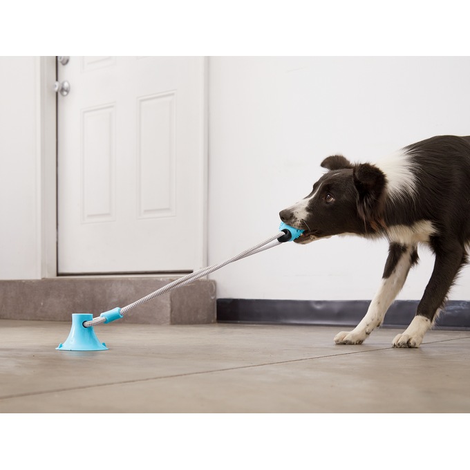 Set of 2 Suction Cup Chew Toys, , large