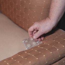 Bed Bug Traps, , large